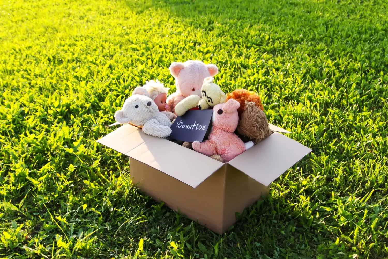 Used Toy Donation Giving back with used toys through local charity drop-off