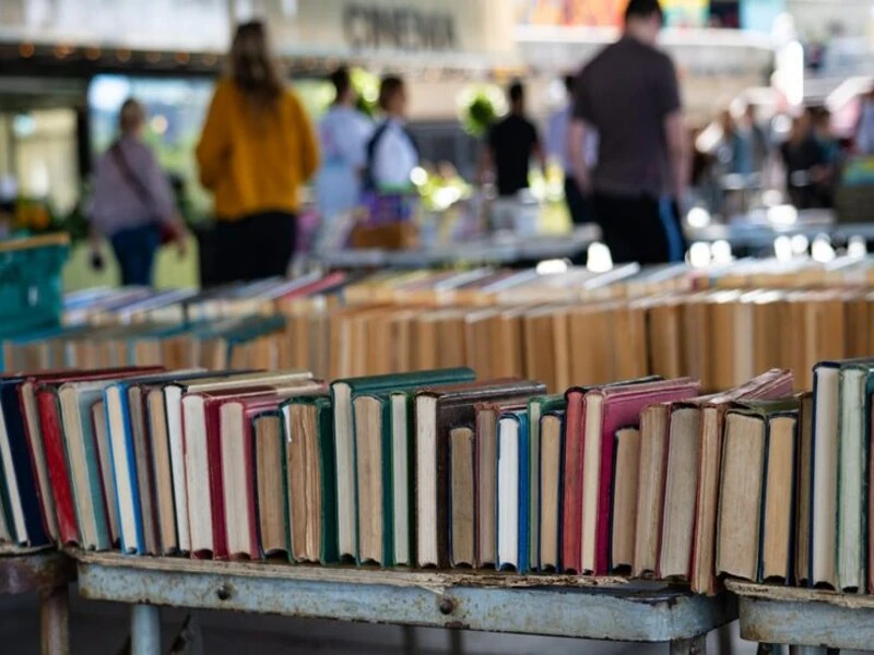 rows of neatly arranged thrift store books on wooden shelves inside a local used book store