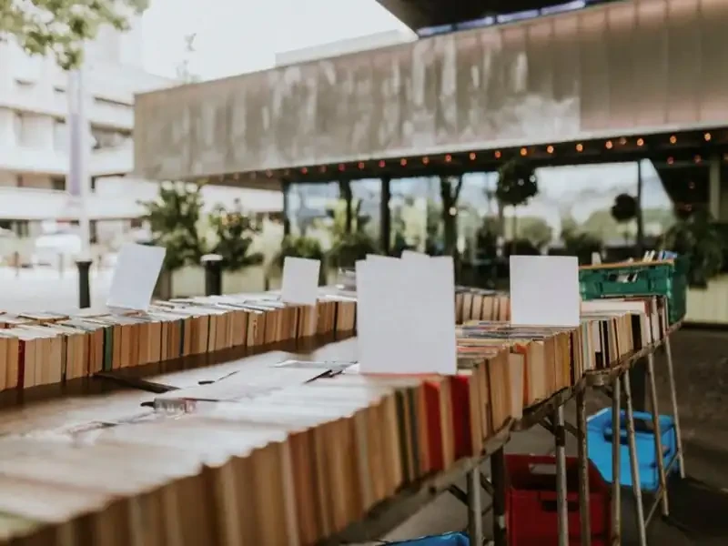 stacks of affordable classic and paperback books arranged for browsing at a used book store shelf