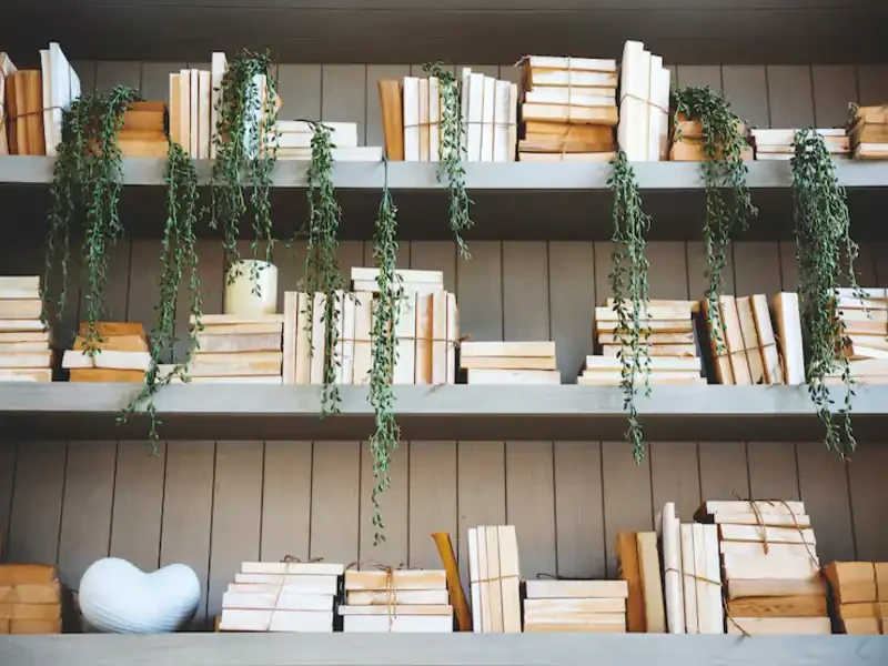 rows of affordable used books displayed on shelves at a goodwill bookstore in boca raton